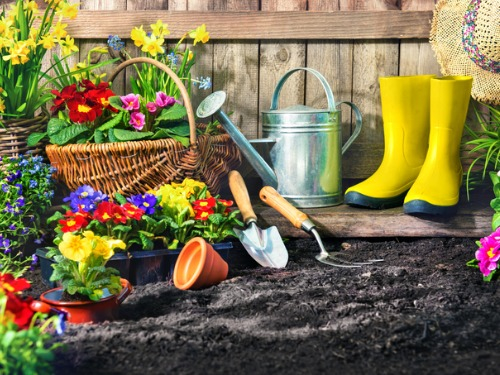 Zum Garteln kann man sich ja schon mal bereit machen.